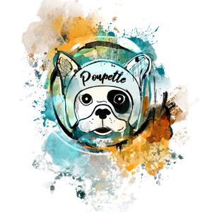 Poupette, le bouledogue casqué